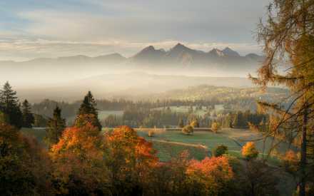 Lapšanka v jeseni Obrázok pre Lapšanka v jeseni